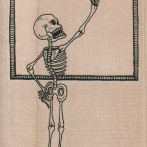 Skeleton Math 2 1/2 x 3 1/2-0