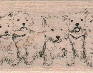 Eight Westies In A Row 1 3/4 x 4 3/4-0