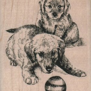 Dogs With Ball 2 1/2 x 3-0