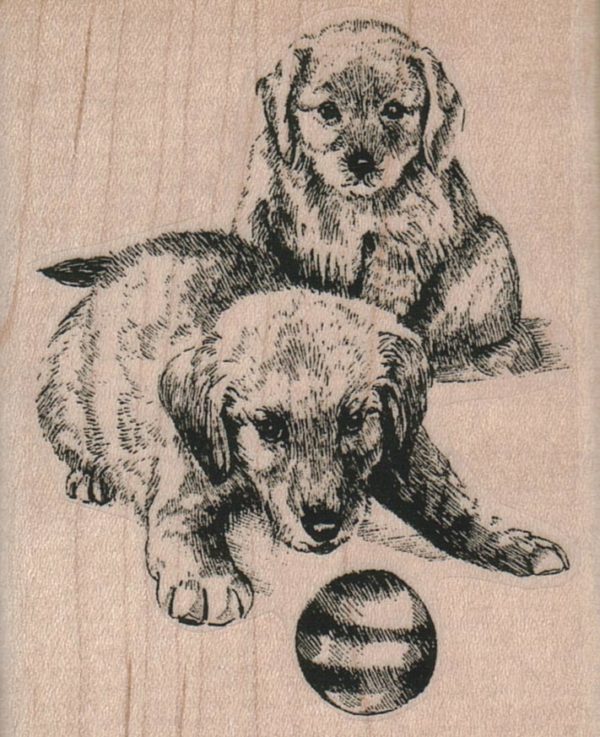 Dogs With Ball 2 1/2 x 3-0