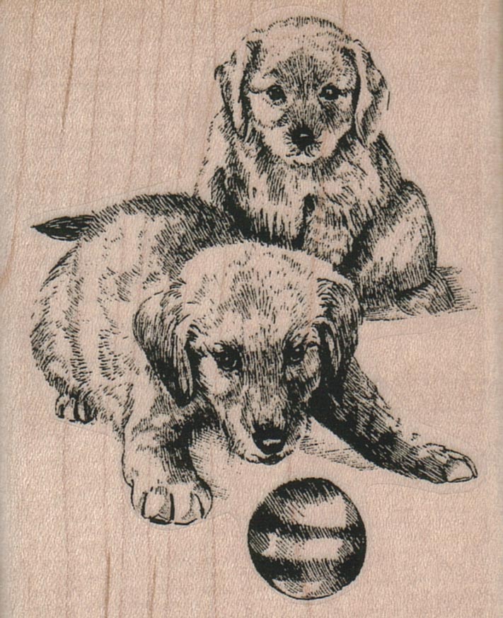 Dogs With Ball 2 1/2 x 3