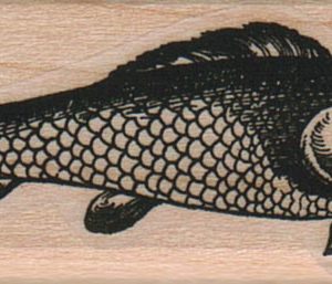 Fish Face 1 x 2 1/4-0