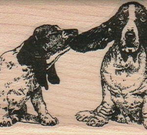 Ear Pull Basset Hounds 2 x 3 1/4-0
