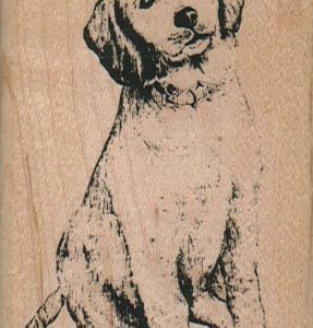 Dog With Cocked Head 2 x 3 1/4-0