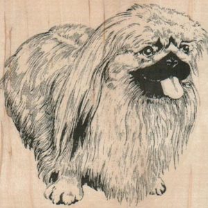 Panting Pekingese 3 1/4 x 3-0