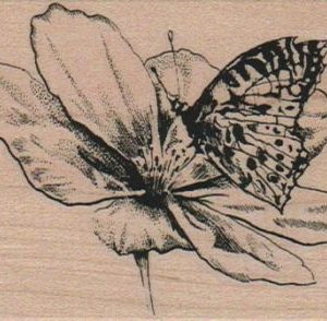 Butterfly on Blossom 2 1/2 x 3-0