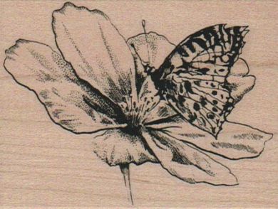 Butterfly on Blossom 2 1/2 x 3