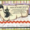 Wicked Witch With Broom/Small 2 1/4 x 3 1/4-34455