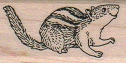 Chipmunk 1 x 1 3/4-0
