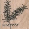 Rosemary Plant 2 x 2-0