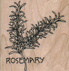 Rosemary Plant 2 x 2