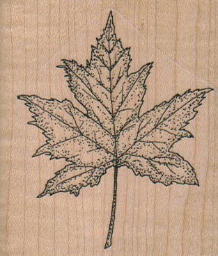 Maple Leaf 2 1/4 x 2 1/2
