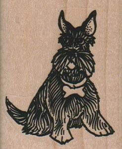 Sitting Scottish Terrier With Bone Collar 1 3/4 x 2 1/4-0