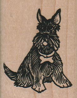 Sitting Scottish Terrier With Bone Collar 1 3/4 x 2 1/4