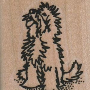 Shaggy Dog 1 1/4 x 1 1/2-0
