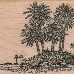 Palm Island And Water 3 1/4 x 5-0