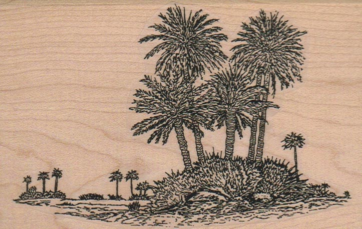 Palm Island And Water 3 1/4 x 5