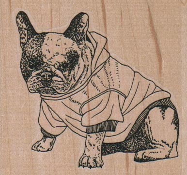 BullDog In Hooded Jacket 2 3/4 x 2 1/2