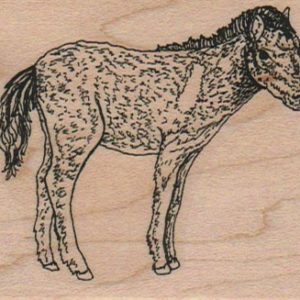 Donkey/Burro 2 1/2 x 2 1/2-0