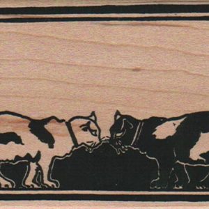 Spotted Cats Blank 2 3/4 x 4 1/2-0