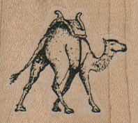 Camel With Saddle 1 1/2 x 1 1/4-0