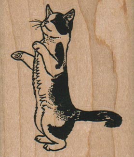 Cat On Hind Legs 2 x 2 1/4