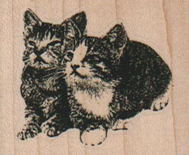 Two Cats Looking Up 2 x 2 1/2