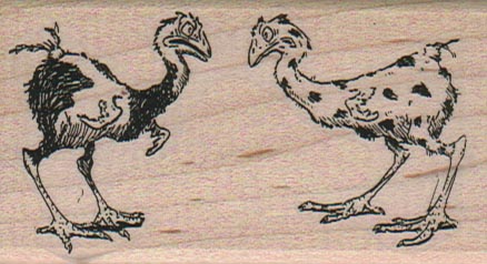 Two Scraggly Chickens 1 3/4 x 3