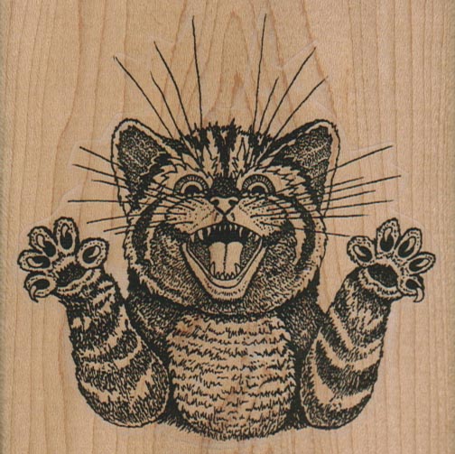 Stressed Out Scary Cat 3 1/2 x 3 1/2
