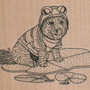 Dog In Frog Costume On Lily Pads 3 x 2 1/4-0