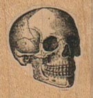 Skull 1 x 1