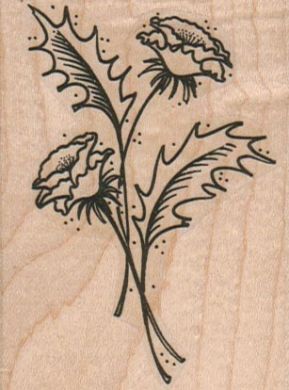 Flowers And Leaves 2 1/4 x 3