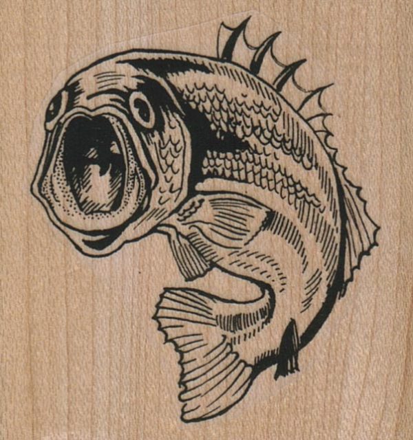 Fish Mouth 2 1/4 x 2 1/4-0