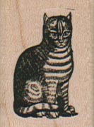 Striped Cat Looking Peeved 1 x 1 1/4