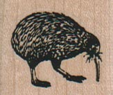 Kiwi Bird 1 1/4 x 1