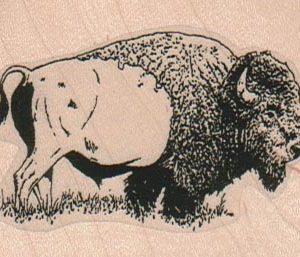 Buffalo 2 1/2 x 1 3/4-0