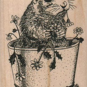 Groundhog Eating Daisies 3 x 4-0