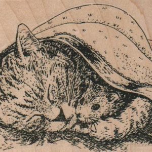 Cat And Mouse In Blanket (Lg) 4 1/4 x 2 3/4-0