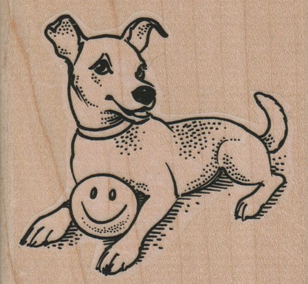 Dog With Smiley Ball 2 3/4 x 2 1/2-0