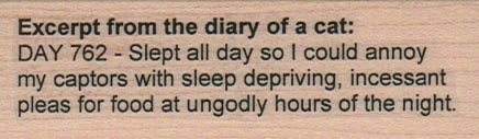 Excerpt From The Diary Day 762 1 x 3