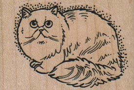 Persian/Himalayan Cat 2 x 1 1/4