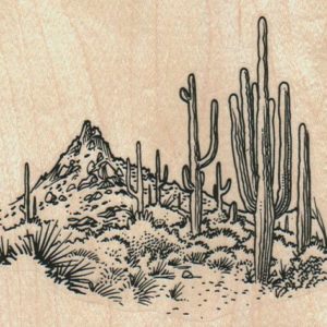 Saquaro Cactus Scene 3 3/4 x 3 1/4-0