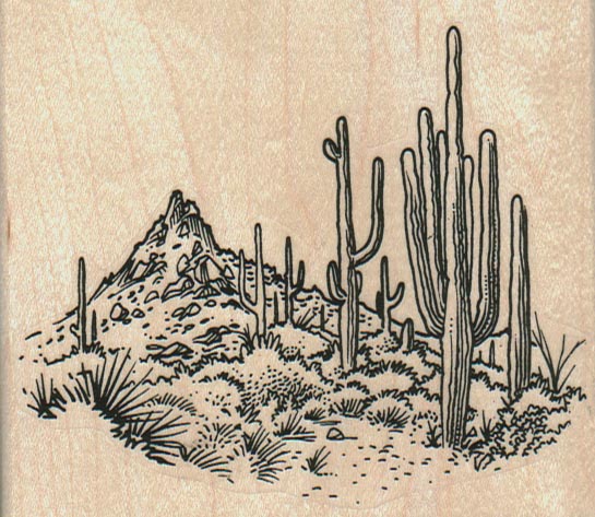 Saquaro Cactus Scene  3 3/4 x 3 1/4