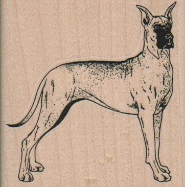 Great Dane Dog 2 1/2 x 2 1/2