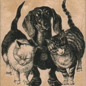 Dachshund And Two Cats 4 x 4 1/4-0