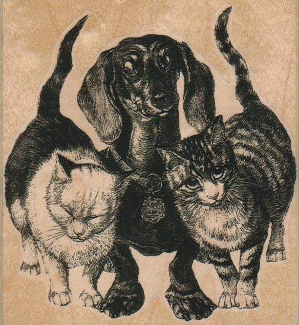 Dachshund And Two Cats 4 x 4 1/4