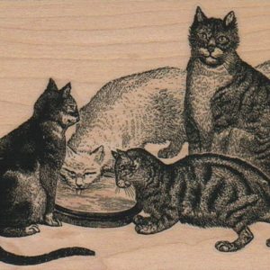 Four Cats 3 1/2 x 4 1/2-0