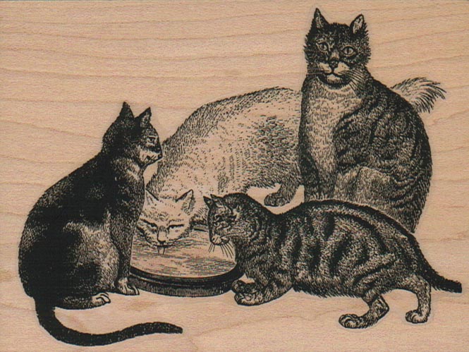 Four Cats 3 1/2 x 4 1/2