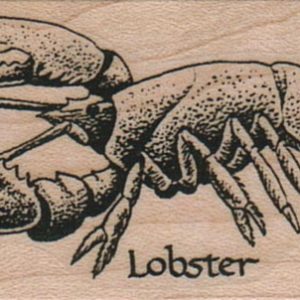 Lobster 1 1/4 x 2 1/4-0