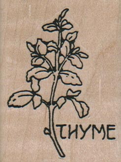 Thyme Plant 2 x 1 3/4